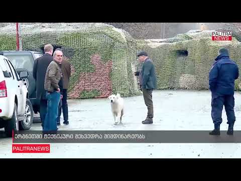 ერგნეთში ტექნიკური შეხვედრა მიმდინარეობს