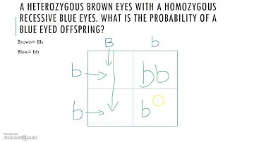 Probability and Heredity