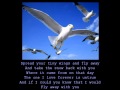 Anne murray  snowbird with lyrics