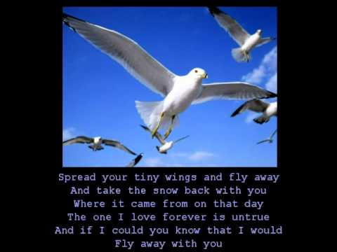 anne-murray---snowbird-(with-lyrics)