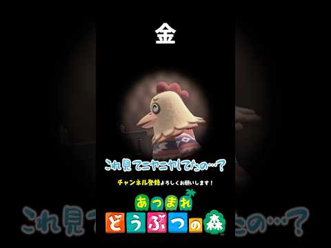 【あつ森】大金だけが置いてある部屋