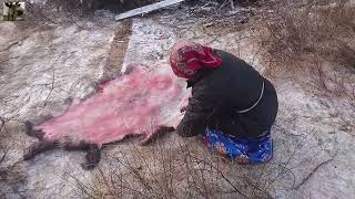 картинка: Оленеводство на крайнем Севере / Reindeer herders of Yamalo-Nenets AO