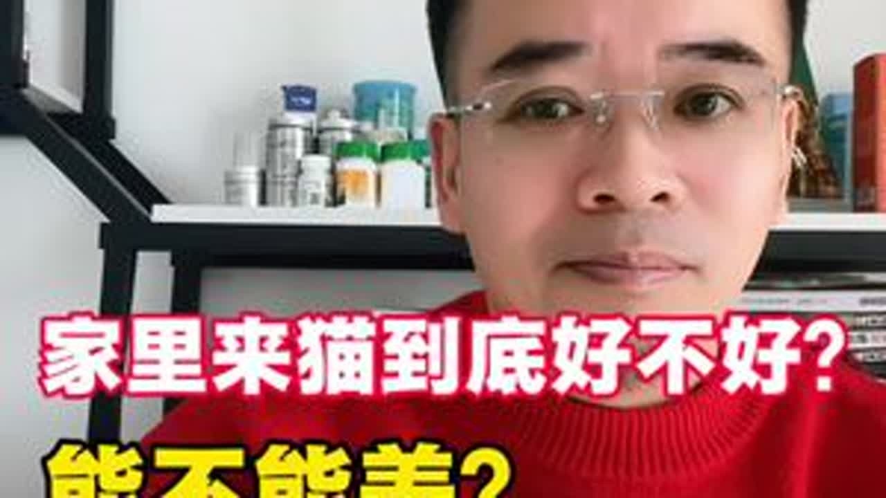 家里来猫好不好？能不能养？ 养猫有什么好处？一次性给大家讲个明明白白！#养猫经验分享 #新手养猫 #白小皮的日常 #喵哥爱养猫 #养猫心得