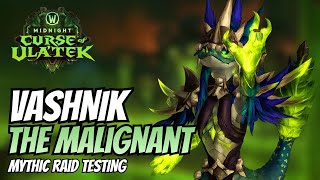 How are Rogues in 12.1 Mythic Raids Vashnik the Malignant 12.1 PTR Mythic Raid Testing Rogue POV