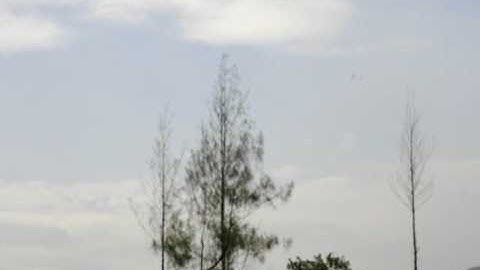 Firebird Commander Flight 1