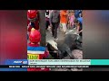 Mulai Banyak Peristiwa Ternak Kurban Kabur