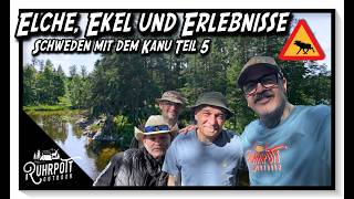 Moose, Misery, and Memories - Sweden Part 5