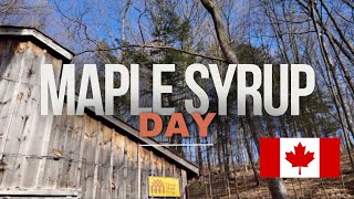 Maple Syrup Day  Seeing How Maple Syrup Is Made