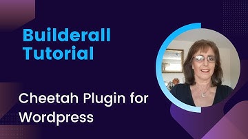 Cheetah Wordpress Plugin Builderall Tutorial