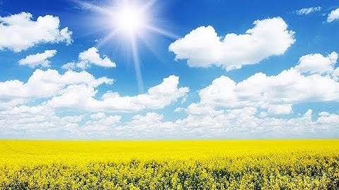 Cấp Cứu Y5: Tiếp Cận Và Xử Trí Ban Đầu Đau Bụng Cấp