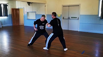 Tai Chi Push Hands master class with Lao Shi Damon Bramich