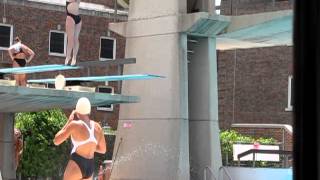 Savanna 2012 Zones 3M D8