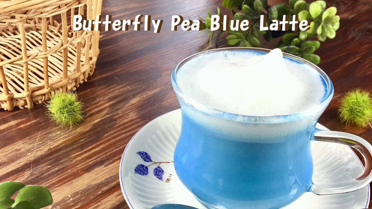 Butterfly Pea Blue Latte YouTube