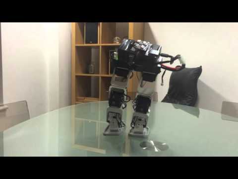 8 DOF Biped Robot