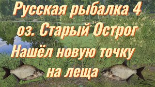 Русская рыбалка 4• оз. Старый Острог новая точка на леща • Фарм • Турниры с призами рр4