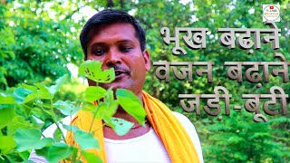 Ayurveda Jadi Buti - Deshi Nuksha- How to gain weight Resimi