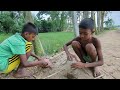 গ্রামের ধানক্ষেতে মাছের ছড়াছড়ি। Village Fishing in Bangladesh! Free Minder #fish 