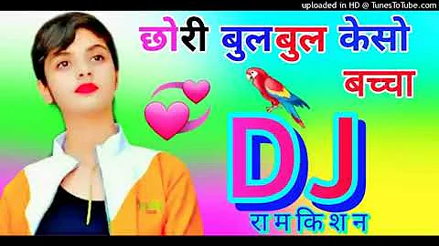 Chori Bulbul ke so baccha dekh Jiya Dhadke DJ remix DJ Dholki mix DJ RamKishan jiroli Hira Singh