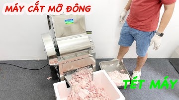 Test Máy Cắt Chặt Mỡ Đông Làm Giò Chả, Thái Thịt Cá Đông Lạnh 150Kg/giờ