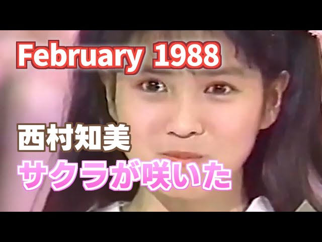 1988年2月 サクラが咲いた 西村知美 - YouTube