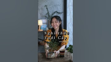 Gợi ý nghi thức cưới sáng tạo (P.3)  #weddingtips