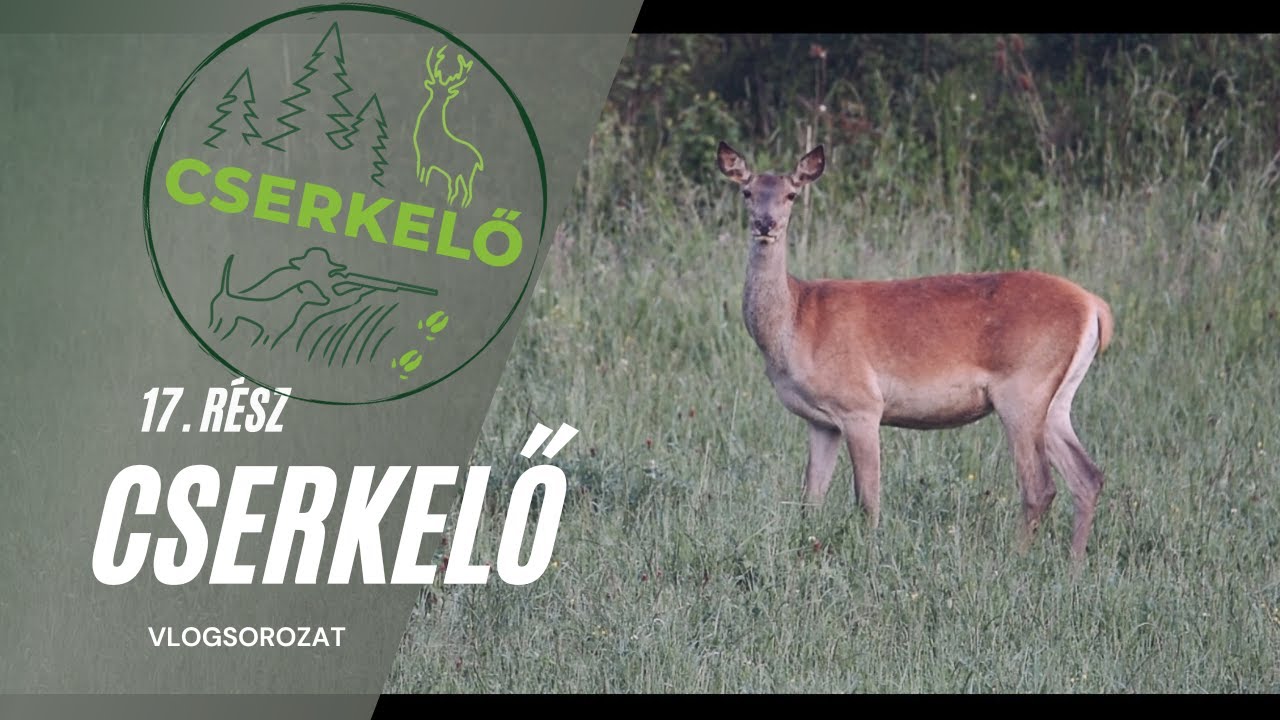 Cserkelő Vlog 17. rész - Nordic Mini Predator nyúlsíró síp használata