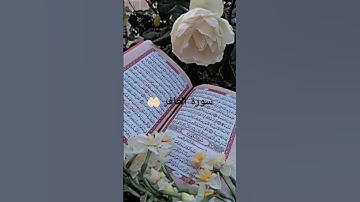 قال فرعون ذروني اقتل موسى وليدعو ربه الاية26.28 من سورة الغافر 🤲🏻
