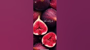 القرآن الكريم بصوت الشيخ ياسر الدوسري سورة التين #اكسبلور