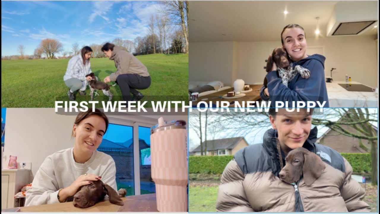 MEET OUR NEW PUPPY | ZOE RAE - YouTube