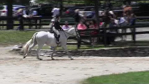 Video of PROMISED HAND ridden by JENNIFER BLACKER ...