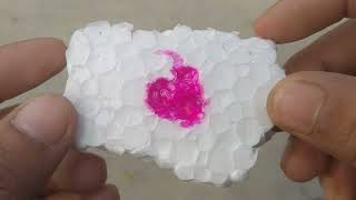 Amezing experiment do at home very easily