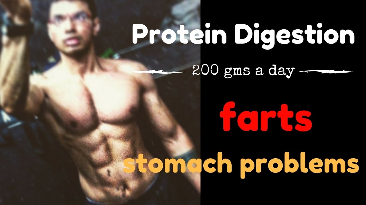 how to digest protein solve fart,constipation,stomach problems YouTube