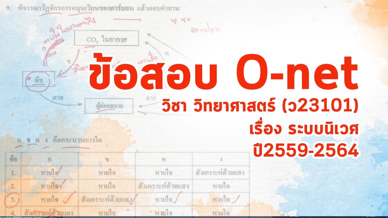 00 ข้อสอบโอเน็ต Onet เรื่องระบบนิเวศ ปี 2559-2564 Full Version | สังเคราะห์เนื้อหาที่สมบูรณ์ที่สุดเกี่ยวกับระบบ สอบ โอ เน็ต