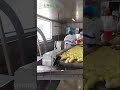 High Efficiency Hydro Cutter for Potato & Vegetable Processing