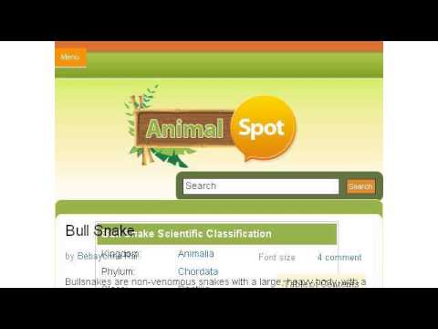 camera iphone 8 plus apk Bull Snake Habitats