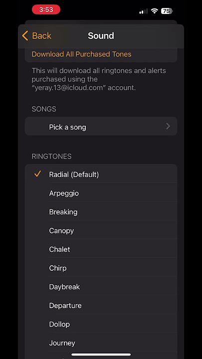 iPhone Radial Sound Alarm