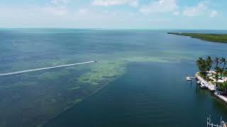 Islamorada's Best Vacation Rental