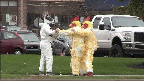 Chickens vs. Cows- CHIC FIL-A BRAWL