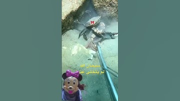 افانت تهدى العمى ولو كانوا لا يعلمون #quran #قرآن #قران_كريم #راحة_نفسية #تلاوة_خاشعة