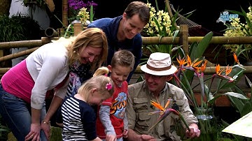 Een kijkje bij de Orchideeen Hoeve in Luttelgeest