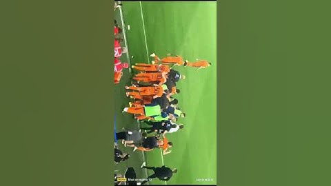 UDINESE VS INTER 1-2 RETE DI FRATTESI