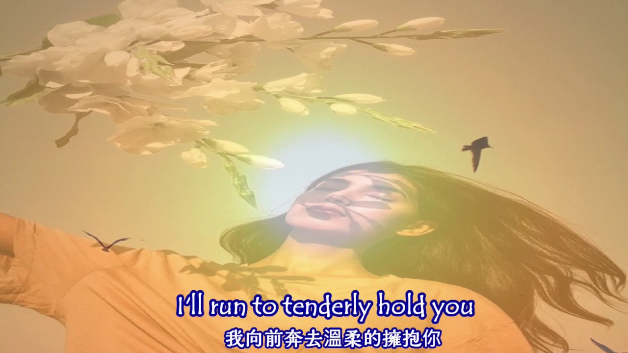 洋書・英語版　Sealed with a KISS 洋書・英語版 Sealed with a KISS 洋書・英語版 Sealed with a