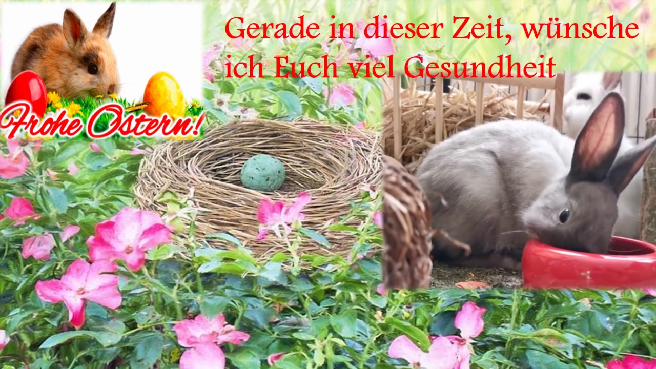  New Update  Ein frohes Osterfest 2020!