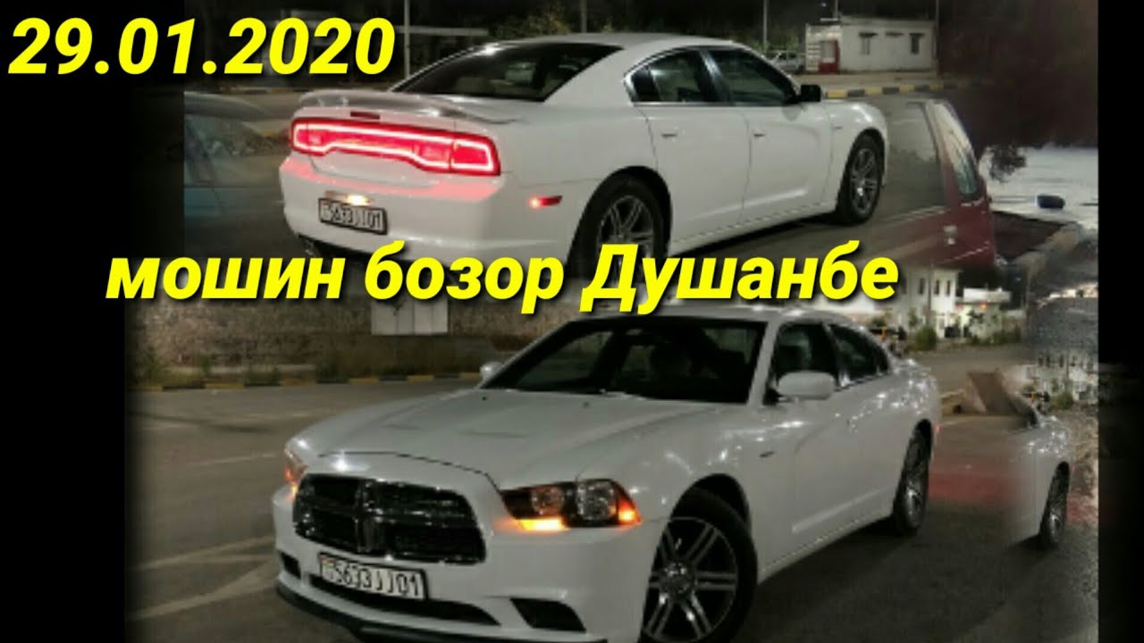 Мэйджор тушино киа