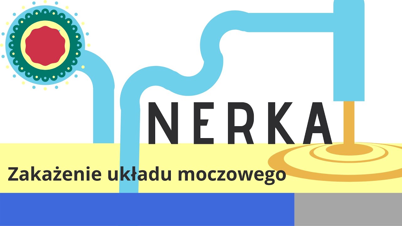 Zakażenie układu moczowego — Transcript
