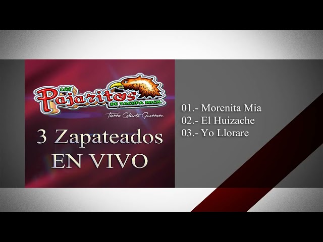 3 Zapateados Super Banda Pajaritos De Tacupa Michoacán!! class=