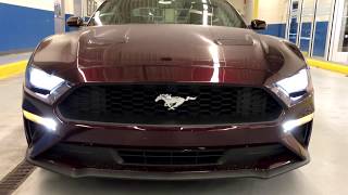 2018 Ford Mustang Ecoboost walkaround video