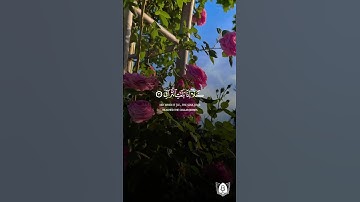 تلاوة بصوت أحمد النفيس من سورة القيامة #قران #قرآن_كريم #آيات #استغفرالله #الحمدلله #quran