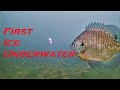 First ICE Bluegill & Northern Pike! (Crazy Footage!)