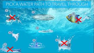 ZelmariScheffer 192586 TP300 Assignment5 PowerPoint MathInteractiveGame New